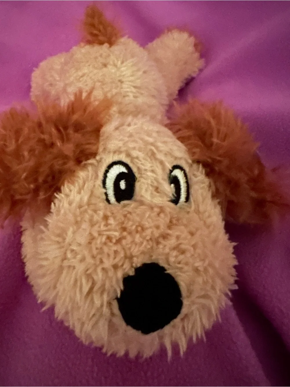 Plush Puppy